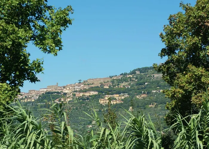 Belvilla By Oyo Loggia Vakantiehuis Cortona
